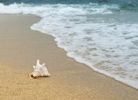 Έτσι φαίνεται η άμμος του ωκεανού από το διάστημα – Μοναδικές φωτογραφίες Έτσι φαίνεται η άμμος του ωκεανού από το διάστημα – Μοναδικές φωτογραφίες