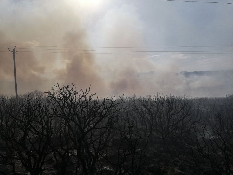 Φωτιά Μαρτίνο: Υπό έλεγχο η πυρκαγιά – Άνοιξε η εθνική οδός