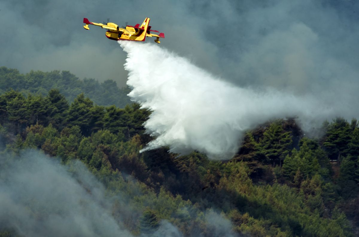 Με εναέρια μέσα και ζώνες πυρασφάλειας η μάχη των πυροσβεστών για αυτό το καλοκαίρι