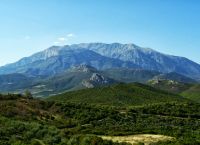 Παρνασσός: Αγωνία για ηλικιωμένο άντρα που έπεσε σε χαράδρα Παρνασσός: Αγωνία για ηλικιωμένο άντρα που έπεσε σε χαράδρα
