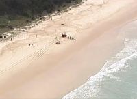 Αυστραλία: Νεκρός από επίθεση καρχαρία ένας 60χρονος [vid]