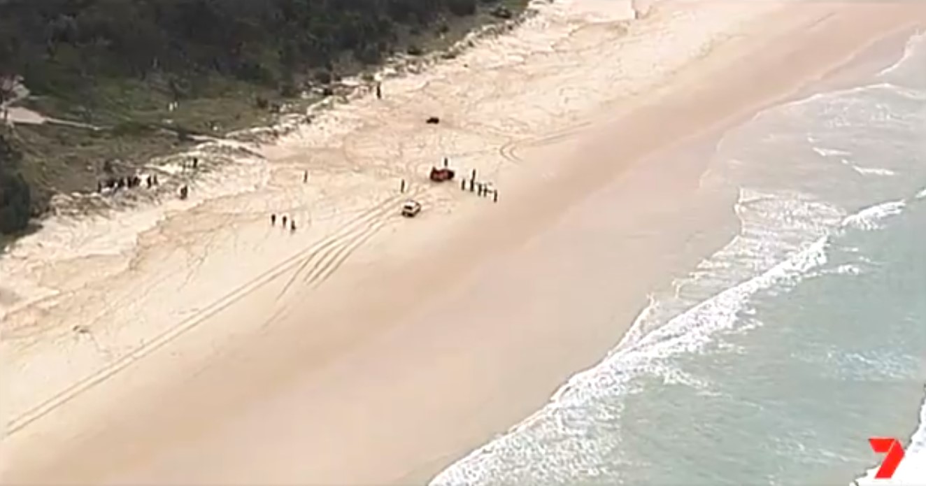 Αυστραλία: Νεκρός από επίθεση καρχαρία ένας 60χρονος [vid]