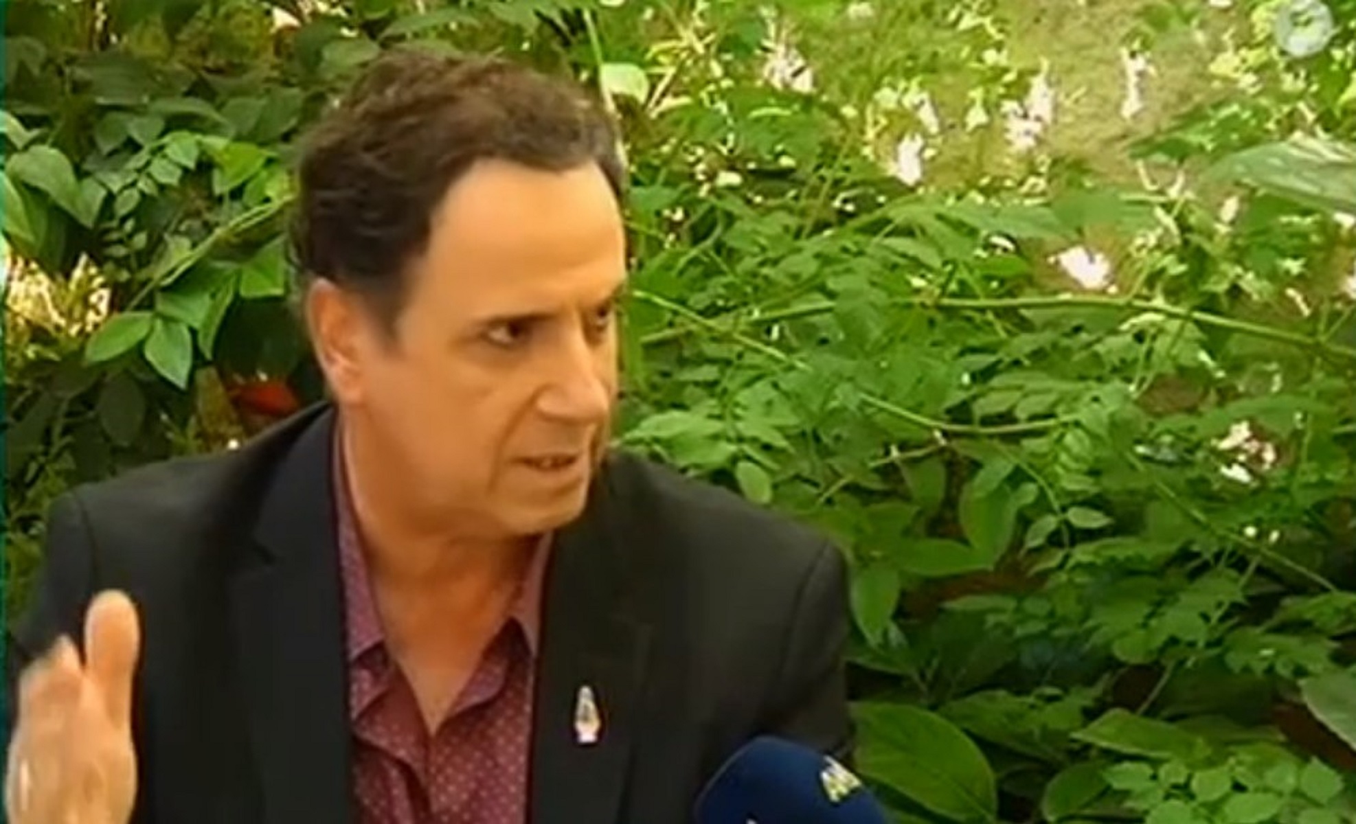 Χάρης Ρώμας Το καφέ της Χαράς: Οι προτάσεις που είχαν γίνει για τον ρόλο της Ρένιας Λουιζίδου