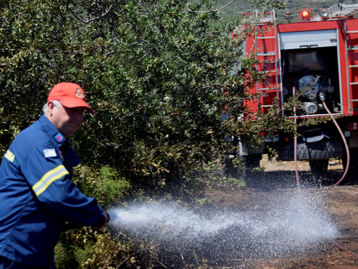 Φωτιά τώρα: Μαίνονται οι πυρκαγιές σε Άγιο Όρος, Ηλεία και Ζάκυνθο