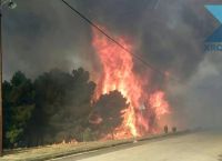 Σάπες φωτιά: «Χάρη στον άριστο συντονισμό δεν υπήρξαν θύματα και ζημιές από μία πολύ μεγάλη πυρκαγιά» Σάπες φωτιά: «Χάρη στον άριστο συντονισμό δεν υπήρξαν θύματα και ζημιές από μία πολύ μεγάλη πυρκαγιά»