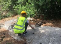 Ελληνικό αδέσποτα: Ανησυχία για τους έως τώρα «κατοίκους» του πρώην αεροδρομίου Ελληνικό αδέσποτα: Ανησυχία για τους έως τώρα «κατοίκους» του πρώην αεροδρομίου