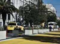 Μεγάλος Περίπατος: Εικόνες με τους φοίνικες που στόλισαν την Πανεπιστημίου