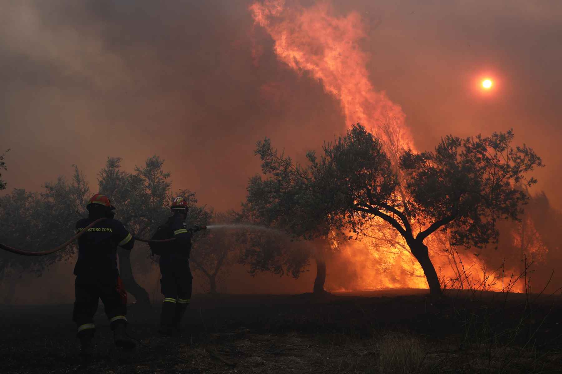 Πυροσβεστική: 57 φωτιές σε 24 ώρες – 740 πυροσβέστες στη μάχη με τις φλόγες