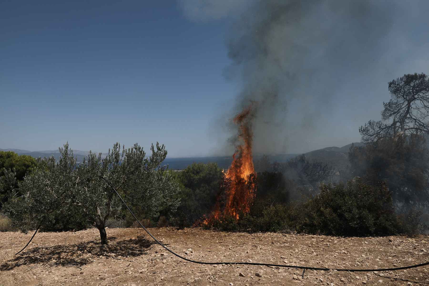 Φωτιά Κορινθία: Σε κατάσταση έκτακτης ανάγκης πέντε κοινότητες στην Κορινθία