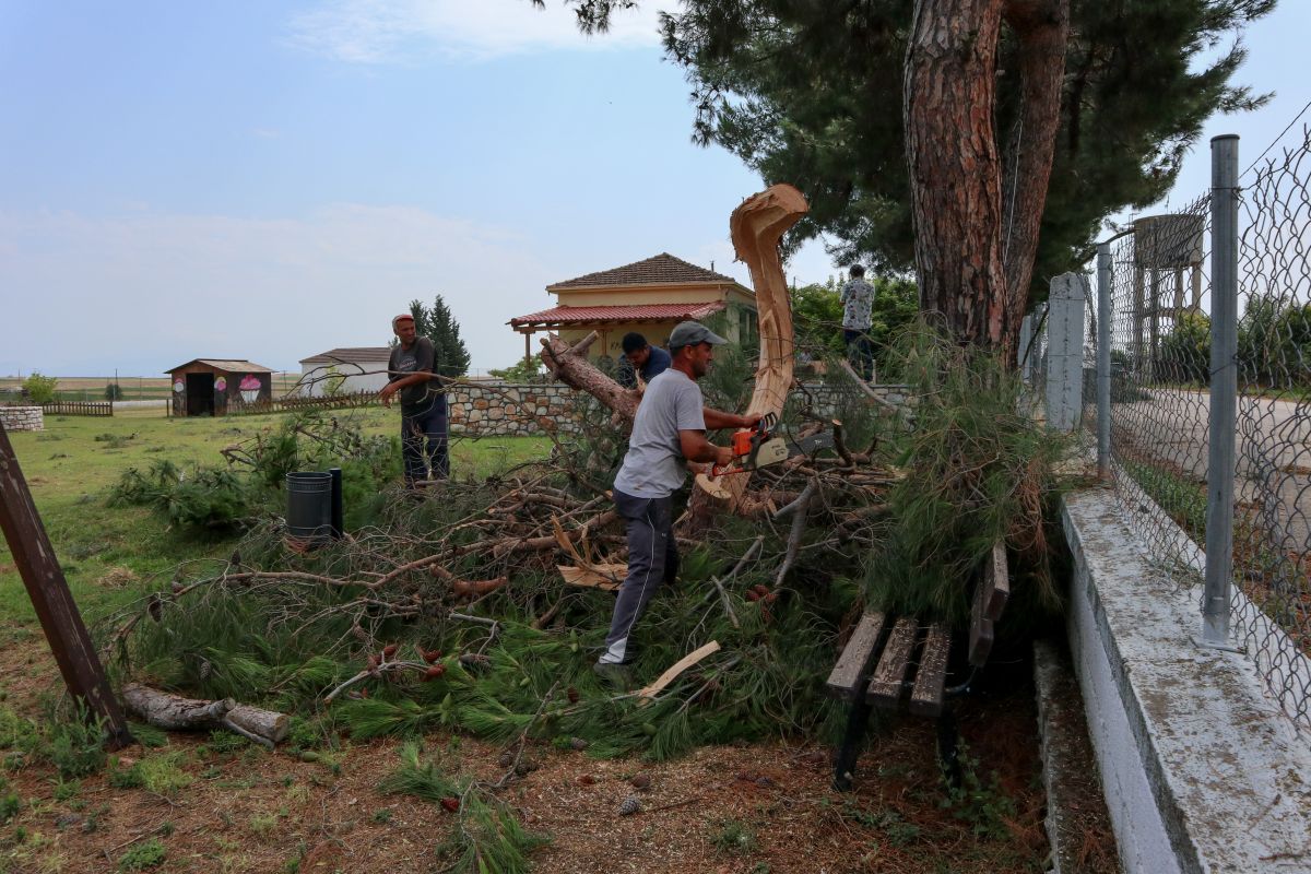 Καταστροφές Λάρισα: Από την κακοκαιρία καταστράφηκαν καλλιέργειες