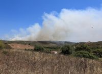 Φωτιά Λαύριο: Υπό πλήρη έλεγχο – Έρευνα για εμπρησμό