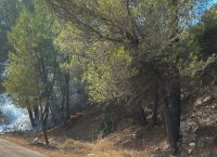 Δασικοί χάρτες: Παράταση εξετάζει το υπουργείο