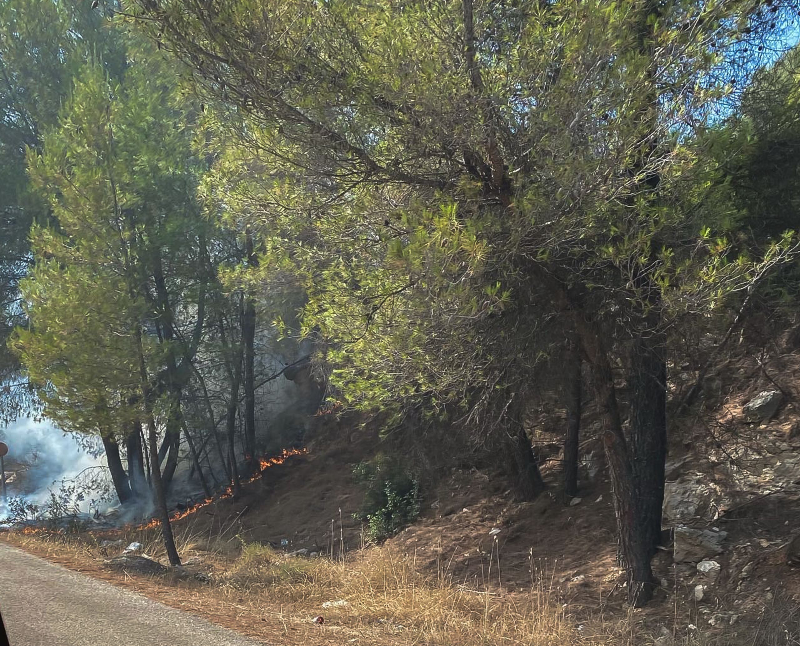 Δασικοί χάρτες: Παράταση εξετάζει το υπουργείο