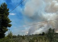 Φωτιά Θεολόγος: Κατακαίει το πευκοδάσος η πυρκαγιά – Σώθηκαν δύο κτηνοτροφικές μονάδες