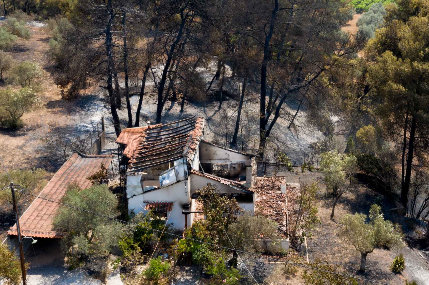 Φωτιά Κεχριές Κορινθίας: Μαίνεται η πυρκαγιά – Εκκενώθηκαν κατασκήνωση και οικισμός