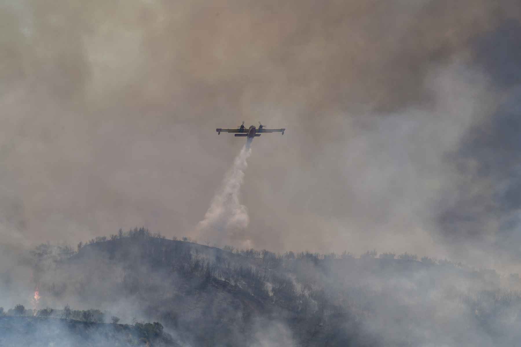 Φωτιά Ηλεία: Σε ετοιμότητα για εκκένωση οι κάτοικοι στο Χελιδόνι