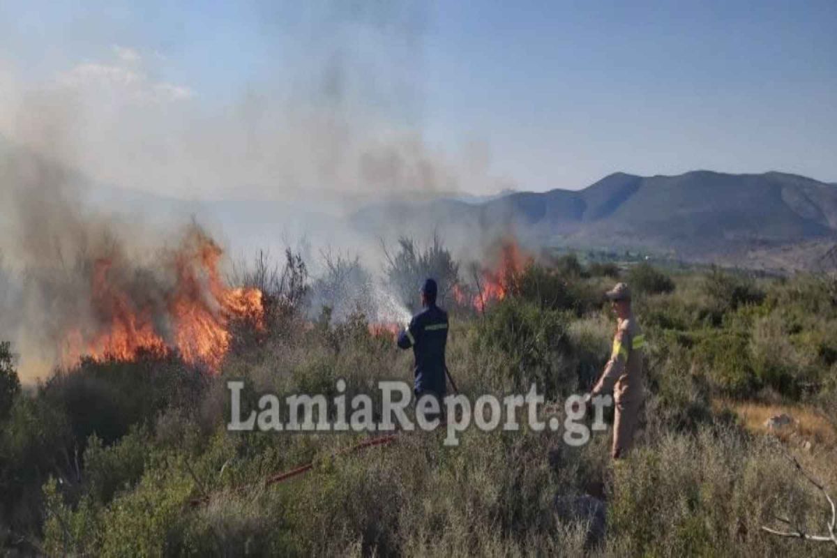 Φωτιά τώρα: Μεγάλες πυρκαγιές σε Βοιωτία και Φθιώτιδα