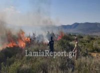 Φωτιά τώρα: Μεγάλες πυρκαγιές σε Βοιωτία και Φθιώτιδα