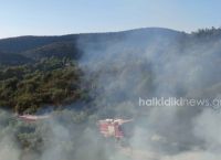 Φωτιά Σιθωνία Χαλκιδικής: Ξέσπασε πυρκαγιά στην περιοχή Τριστινίκα