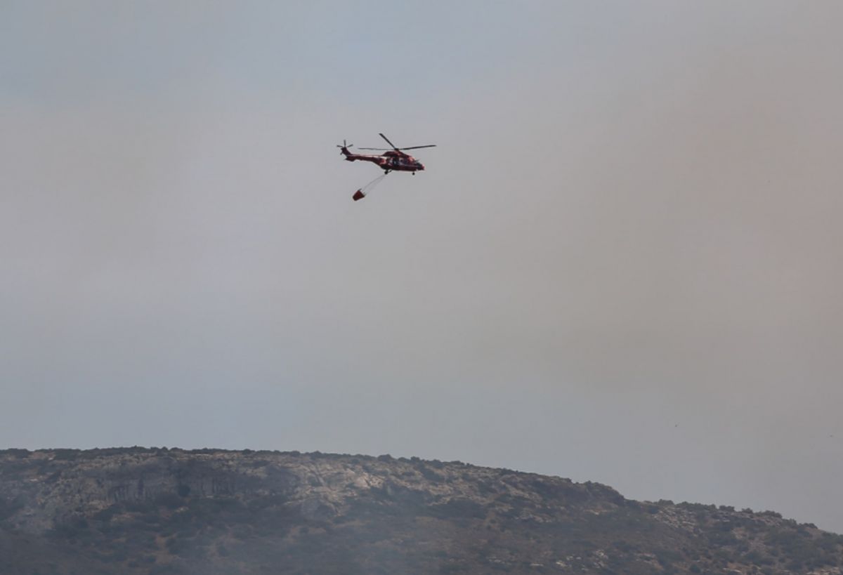 Φωτιά Λευκάδα: Πυρκαγιά στον Καστό – Συναγερμός στην Πυροσβεστική
