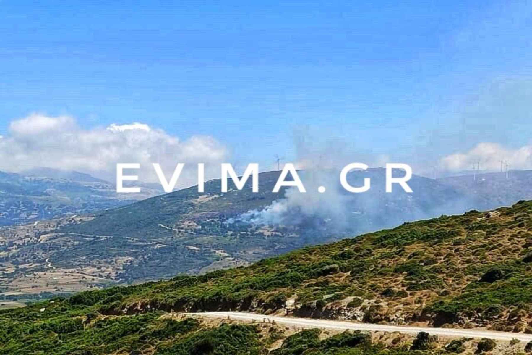 Φωτιά Κάρυστος:  Συνεχίζεται η κατάσβεση – Υποψίες για εμπρησμό