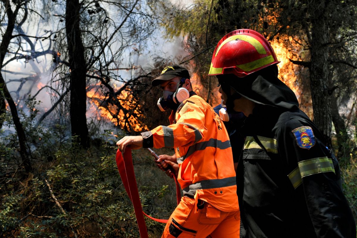 Φωτιά τώρα Χαλκιδική: Πυρκαγιά στο Λάκκωμα – Επιχειρούν δυνάμεις της  Πυροσβεστικής