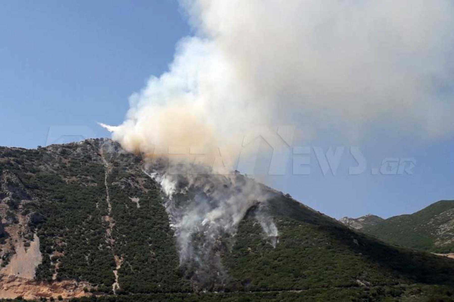 Φωτιές Ελλάδα: Σε εξέλιξη η πυρκαγιά στην Πρέβεζα – 61 δασικές πυρκαγιές το τελευταίο 24ωρο