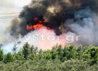 Φωτιά Θεολόγος: Πυρκαγιά στο πευκοδάσος της περιοχής