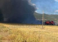 Φωτιά τώρα στη Φθιώτιδα: Πυρκαγιά στον δήμο Μακρακώμης