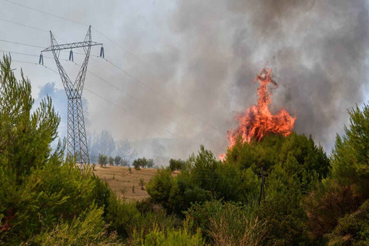 Φωτιά Ηλεία: Μεγάλη επιχείρηση της Πυροσβεστικής