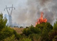 Φωτιά Ηλεία: Μεγάλη επιχείρηση της Πυροσβεστικής