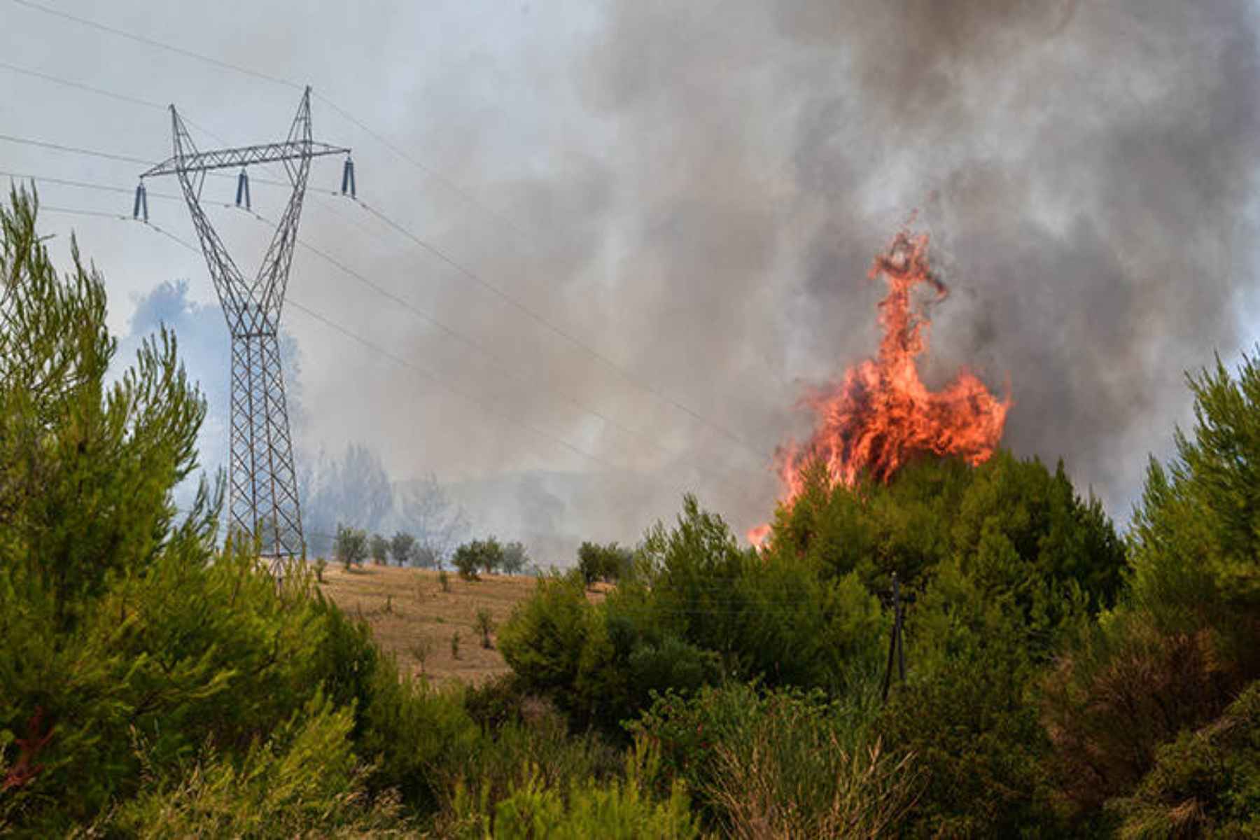 Φωτιά Ηλεία: Μεγάλη επιχείρηση της Πυροσβεστικής