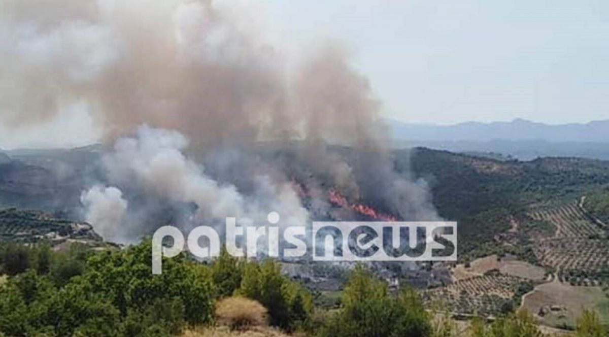 Φωτιά σε εξέλιξη στην Ηλεία
