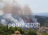 Φωτιά σε εξέλιξη στην Ηλεία