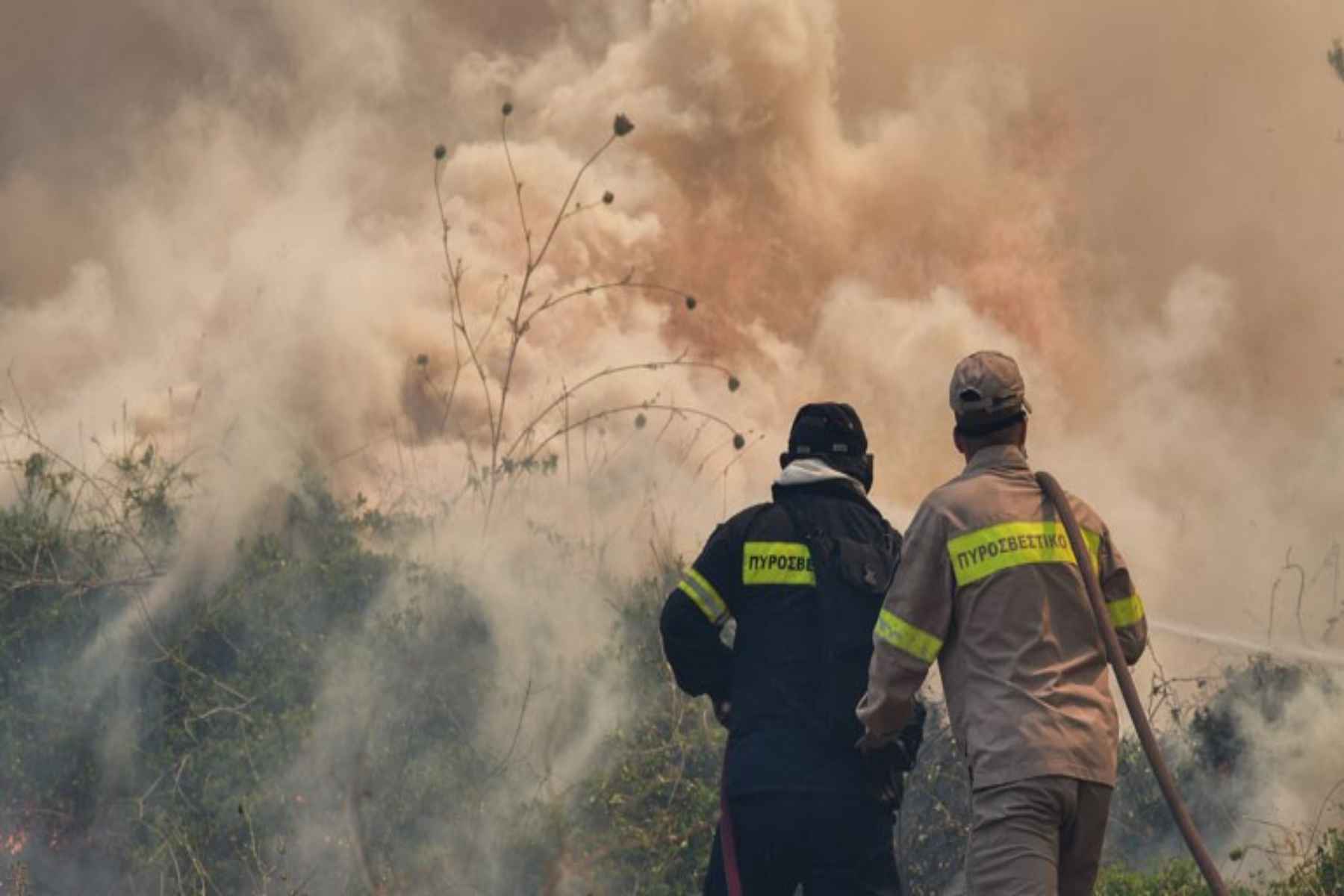 Φωτιά Ηλεία: Μαίνεται η πυρκαγιά – Ενισχύονται οι δυνάμεις της Πυροσβεστικής
