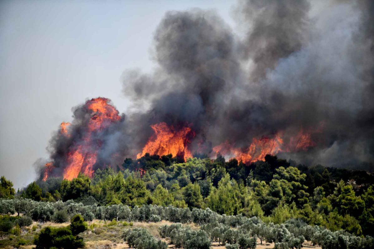 Φωτιά τώρα στον Χανδρινό Μεσσηνίας