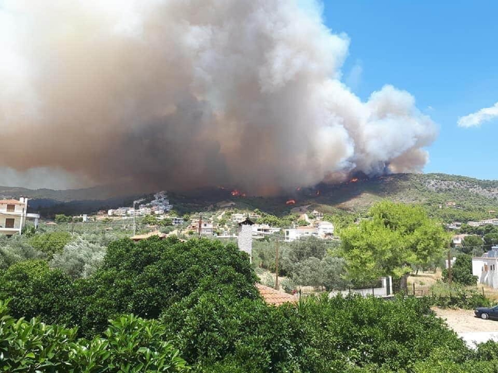 Φωτιά τώρα Κορινθία: Στις Κεχριές ο Χαρδαλιάς