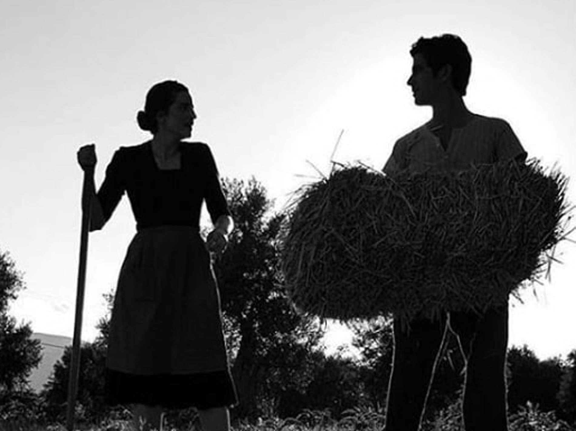 Άγριες Μέλισσες επεισόδιο 55: Τι θα δούμε σήμερα Τετάρτη 02/12 – Ο Κωνσταντής λέει «όχι» στα σχέδια του Δούκα