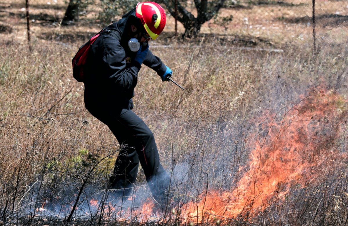 Νέα φωτιά στον Έβρο