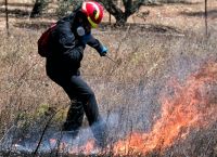 Νέα φωτιά στον Έβρο Νέα φωτιά στον Έβρο
