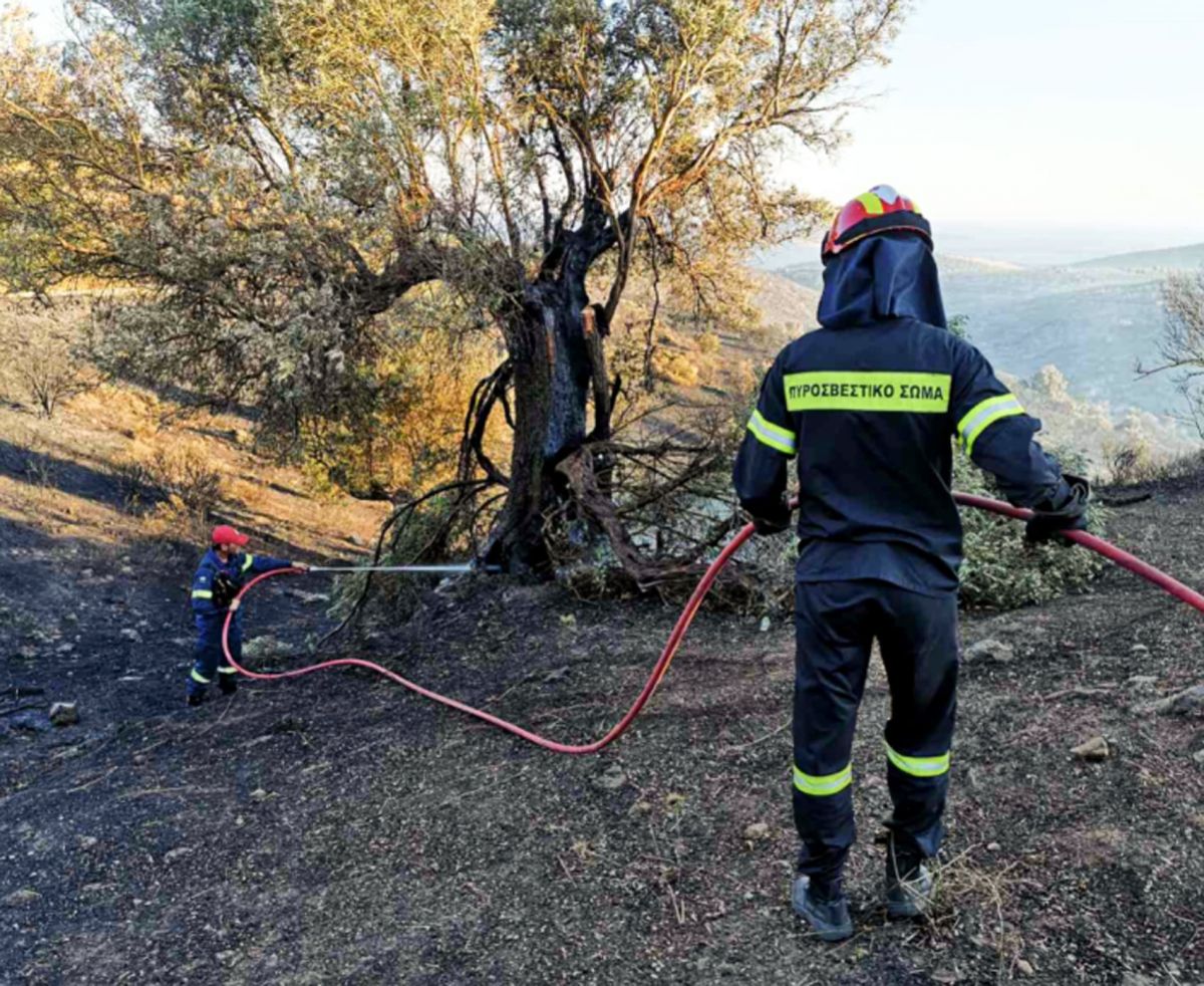 Πυροσβεστική προκήρυξη: 202 θέσεις εποχικής απασχόλησης