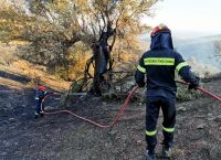 Πυροσβεστική προκήρυξη: 202 θέσεις εποχικής απασχόλησης Πυροσβεστική προκήρυξη: 202 θέσεις εποχικής απασχόλησης