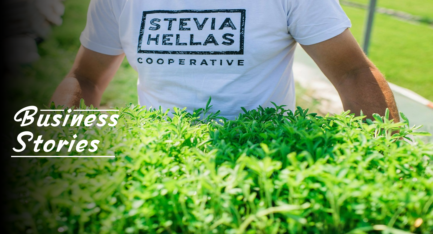 Stevia Hellas: Ο Συνεταιρισμός από τη Λαμία που θέλει να κατακτήσει τις διεθνείς αγορές