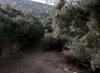 Αυθαιρεσίες Υμηττός: Σε διαβούλευση η Στρατηγική Μελέτη Περιβαλλοντικών Επιπτώσεων Αυθαιρεσίες Υμηττός: Σε διαβούλευση η Στρατηγική Μελέτη Περιβαλλοντικών Επιπτώσεων
