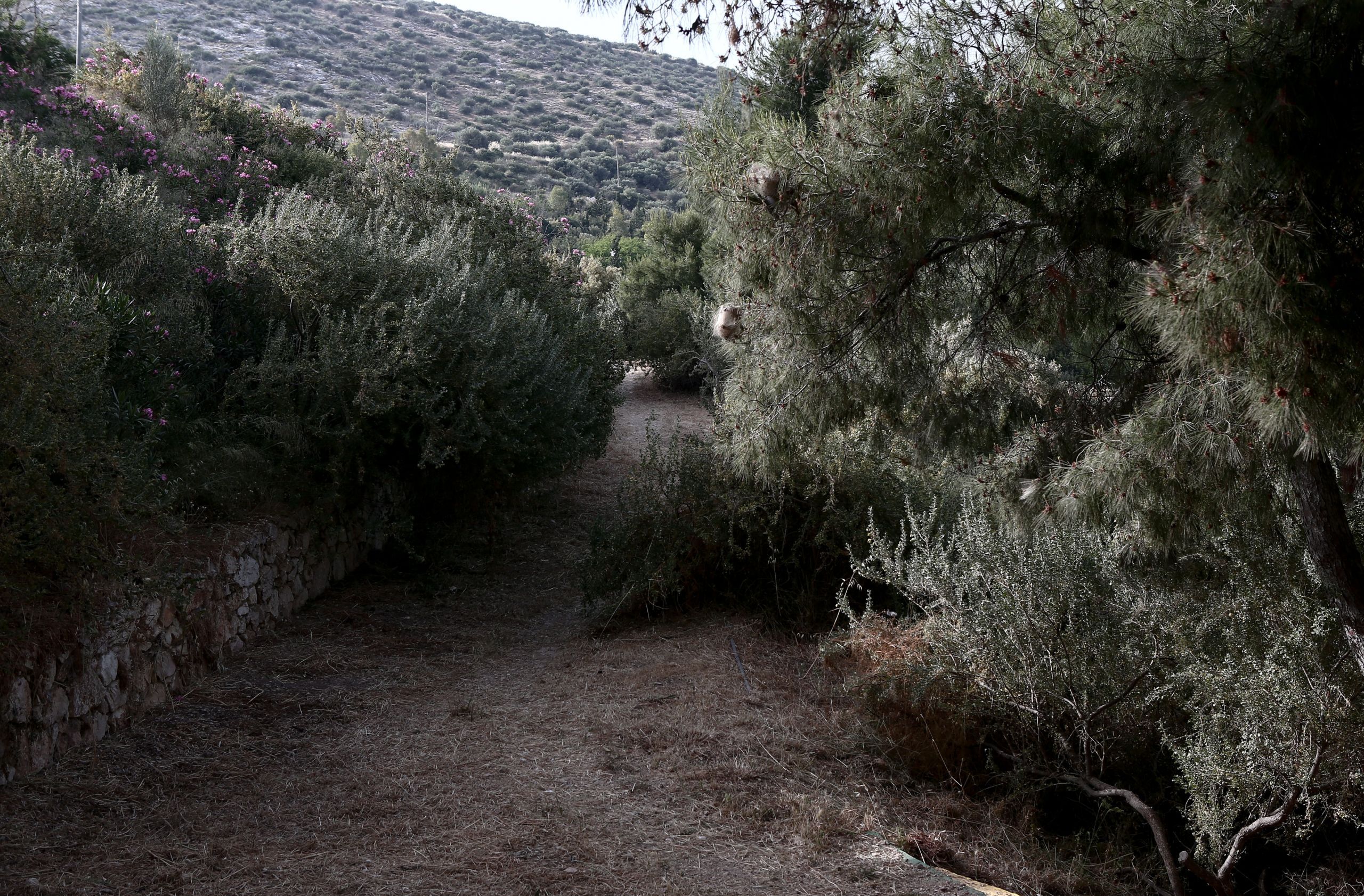 Αυθαιρεσίες Υμηττός: Σε διαβούλευση η Στρατηγική Μελέτη Περιβαλλοντικών Επιπτώσεων