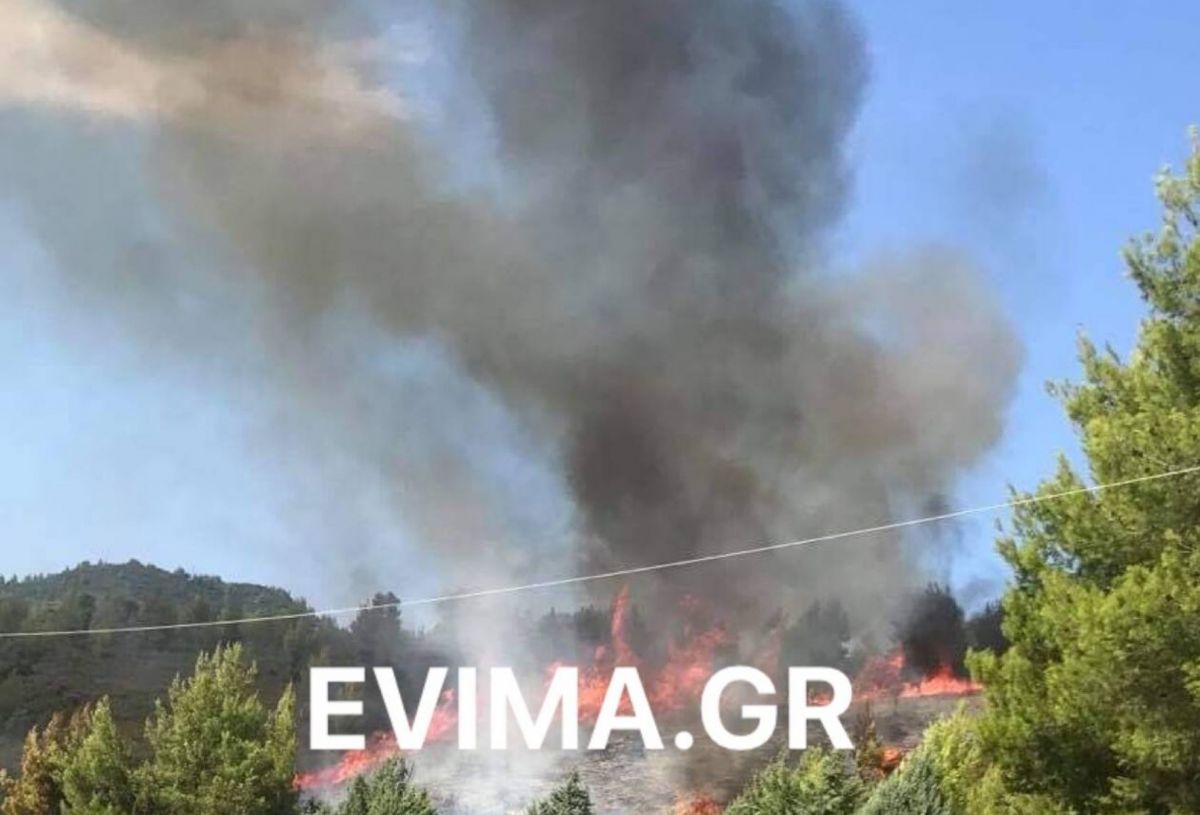 Φωτιά τώρα Εύβοια: Κοντά σε σπίτια στην περιοχή Ροβιές μαίνεται πυρκαγιά