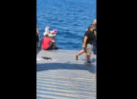 Διάσωση παιδιού από Ferry Boat: Είχε παρασυρθεί από ρεύματα στο Αντίρριο με το σωσίβιο τους Διάσωση παιδιού από Ferry Boat: Είχε παρασυρθεί από ρεύματα στο Αντίρριο με το σωσίβιο τους