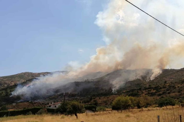 Αταλάντη: Υπό έλεγχο βρίσκεται η φωτιά