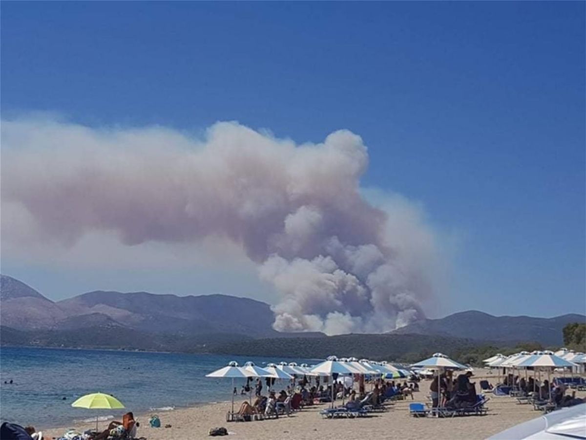 Φωτιά τώρα στη Μάνη: Ισχυρές πυροσβεστικές δυνάμεις επιχειρούν για να ελέγξουν τη δασική  πυρκαγιά