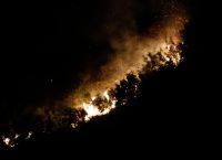 Φωτιά Αχαΐα: Πυρκαγιά έχει ξεσπάσει κοντά στο χωριό Λάππα